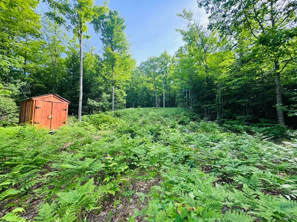 Lot #4 Mooseley Ridge Road, Phillips, ME 04970