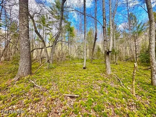 144 Gunter Pl, Sunbright, TN 37872