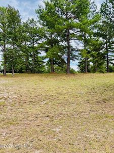 760 Broken Ridge Trail LOT 339R, West End, NC, 27376