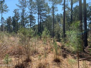 600 Roseland Rd, Ridgeland, SC 29936
