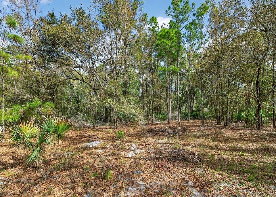 1st image of 11803 Dog Hollow Ln