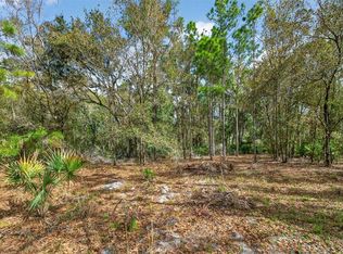 11803 Dog Hollow Ln #7, Lithia, FL 33547