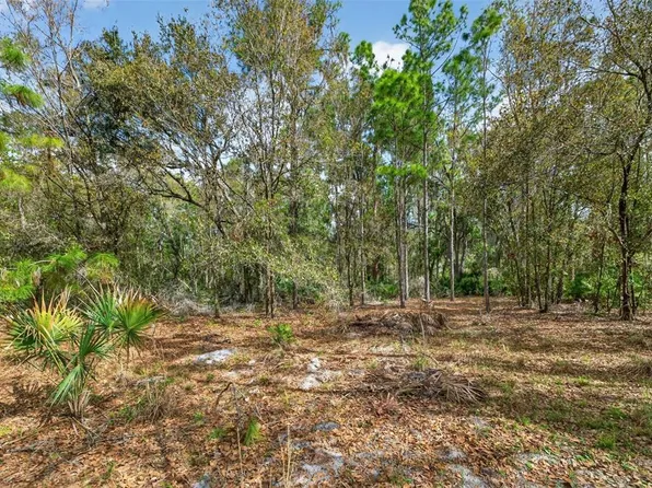 11803 Dog Hollow Ln #7, Lithia, FL 33547