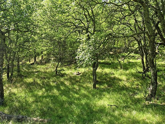 4th image of 827 Erwin Rd