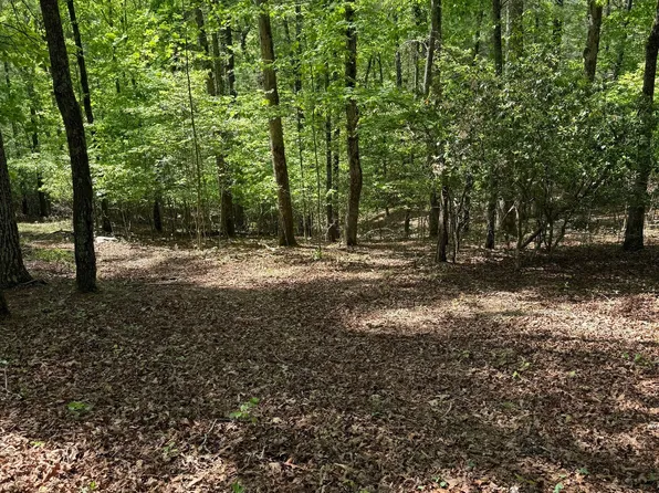 0 Mill Trace Ct, Cleveland, GA 30528