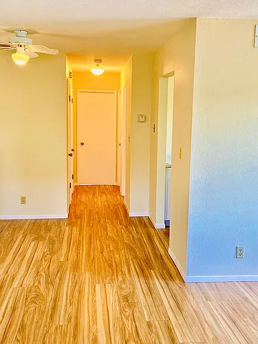2638 Coffey Ln Photo 1