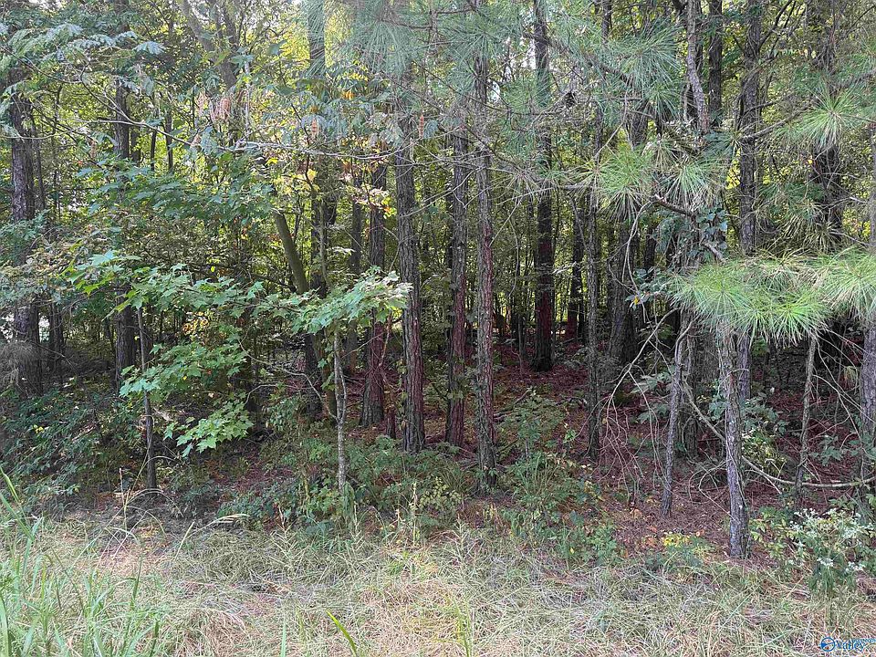 2nd image of 1.01 Acres River Point