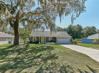 309 N Dixie Dr, Howey In The Hills, FL 34737