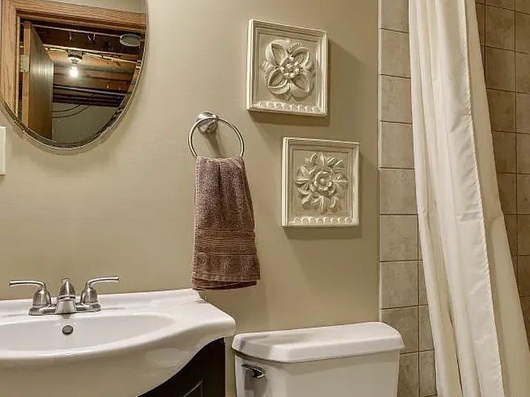 Lower level full bathroom