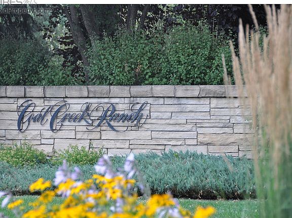 One of many Water Features in Springs community