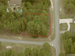 1311 W Valiant Pl, Citrus Springs, FL 34434