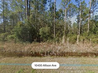 10435 Allison Ave, Hastings, FL 32145