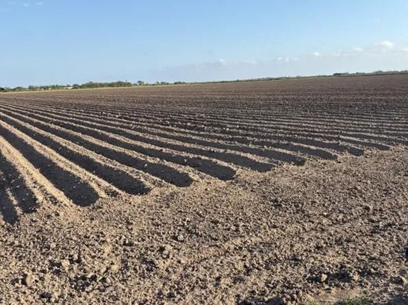 15 1/2 & Rd N #Fm-493, Donna, TX 78537