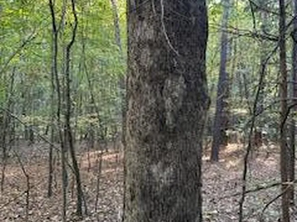 4 Highway 9 W, Oxford, MS 38655