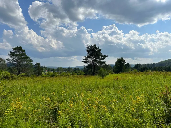 Vl White Creek Rd, Friendship, NY 14739