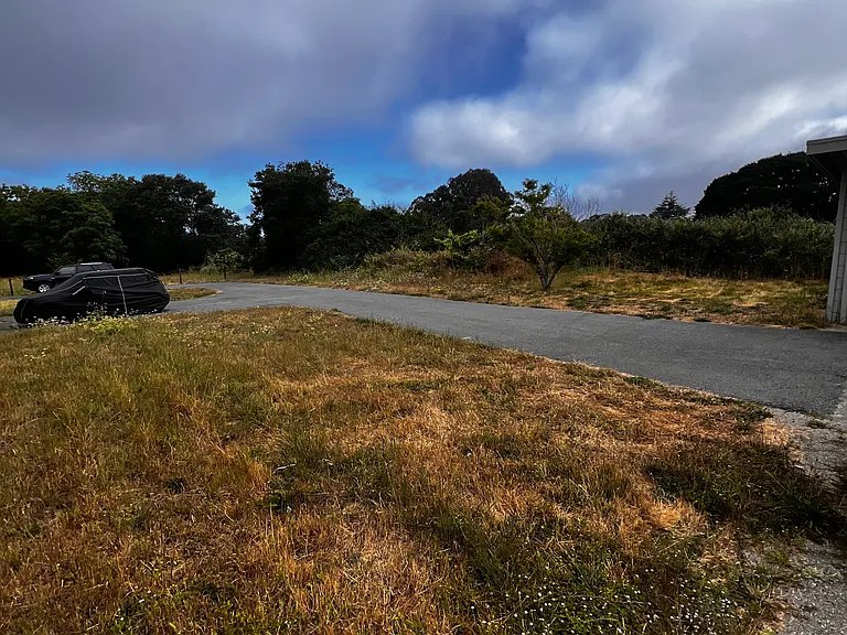 rural / pastoral setting