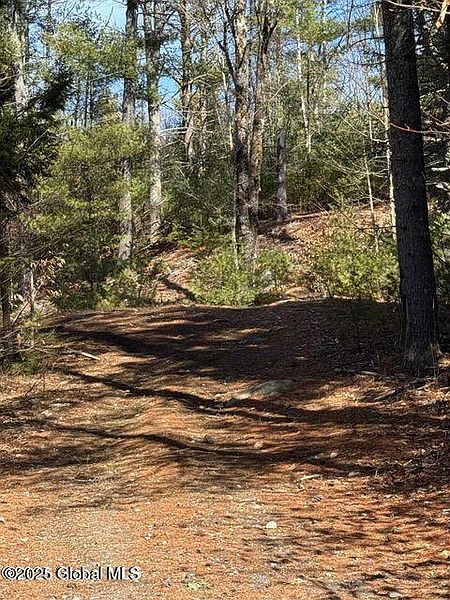 3rd image of 61 Snowshoe Ridge