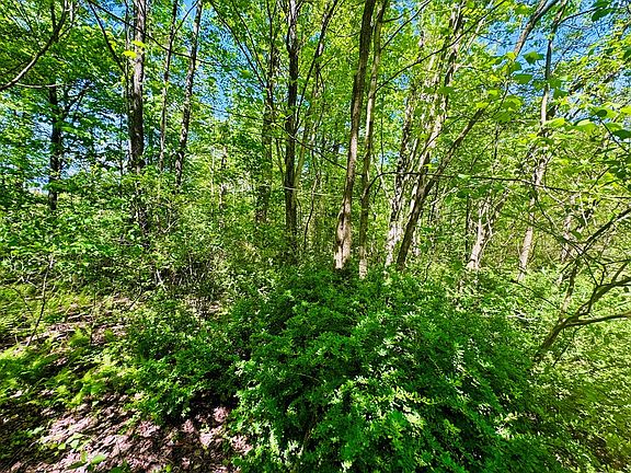 2nd image of LOT 43 Paradise Rd