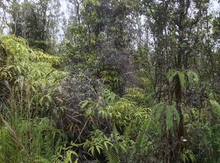 11-3043 Noe Kuahiwi Rd LOT 33, Volcano, HI 96785