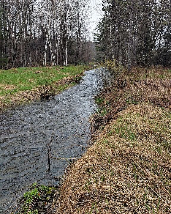 This is one of three creeks run through the property  my kids had many a good time swimming in the holes in the creek