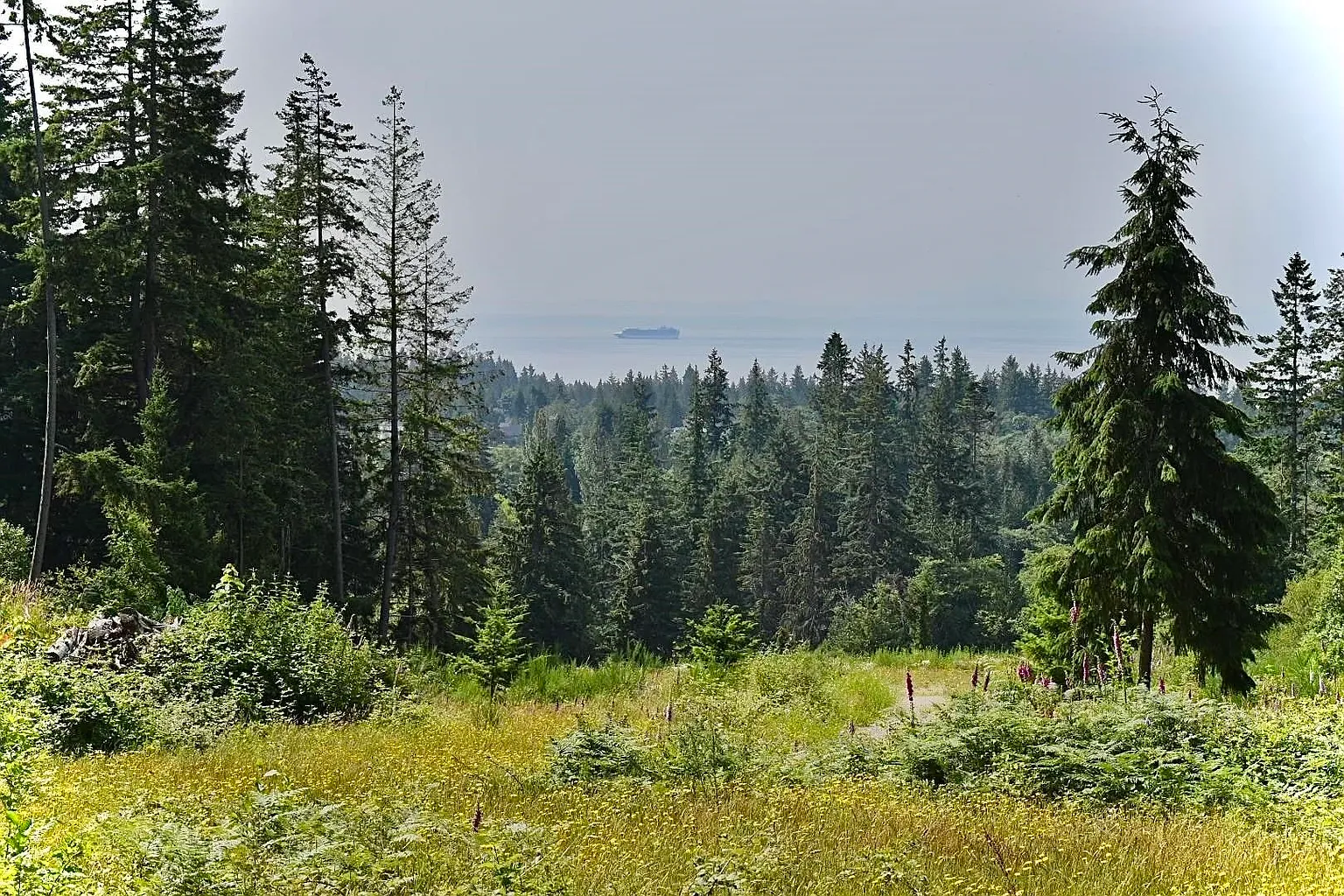 1491 Reed Rd photo 1