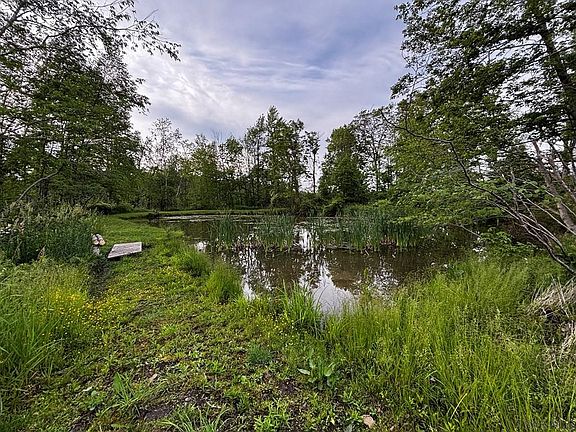 2nd image of 0 Ridge Rd