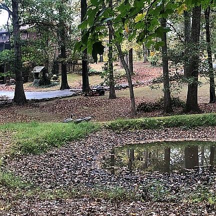 Pond