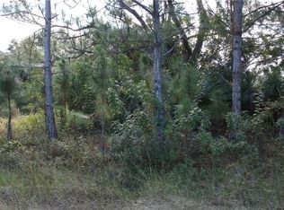 442 Firebrand St SW, Palm Bay, FL 32908