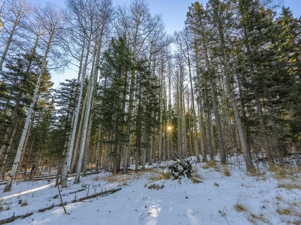 LOT 64 Mertz Pl, Angel Fire, NM 87710