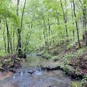 236 Center Ridge Dr, Hohenwald, TN, 38462