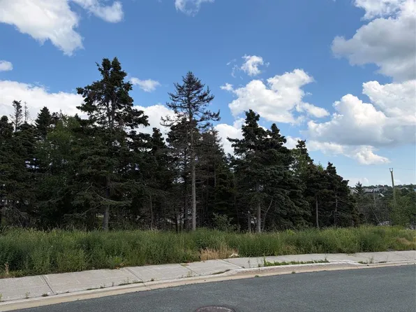 26 Blade Crescent, Mt Pearl, NL A1N5K9
