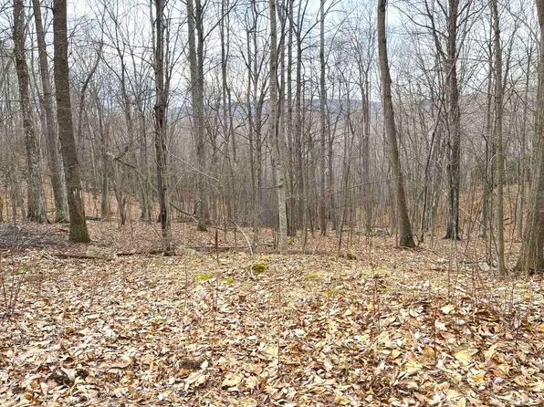 24 Gobbler Ln, Newport, VA 24128