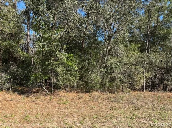 17 Mimosa Ct W, Homosassa, FL 34446