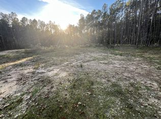 14333 Springfield Rd, Walker, LA 70785