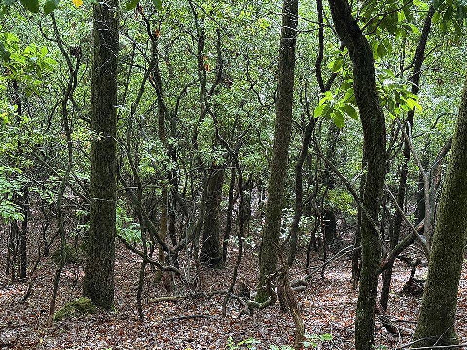 1st image of LOT 28 Atoah Loop