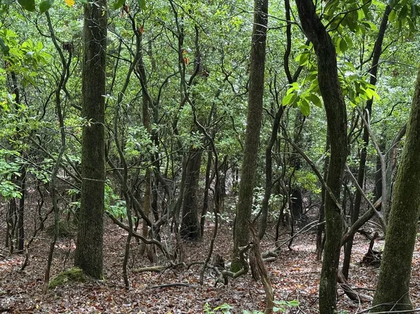 LOT 28 Atoah Loop, Murphy, NC 28906