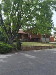 339 Arapahoe, El Jebel, CO, 81623