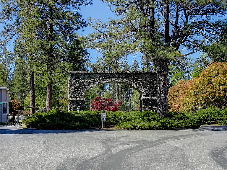 Forest Springs — Photo 6