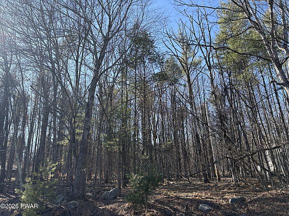 4th image of LOT 983 Winterberry Dr