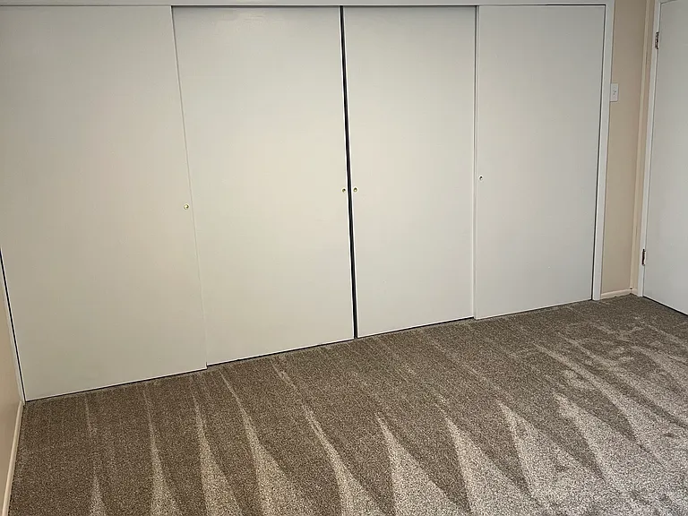 Downstairs large bedroom with plenty of closet/storage space and new carpet.