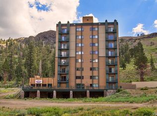 1511 Kirkwood Meadows Dr #110, Markleeville, CA 96120