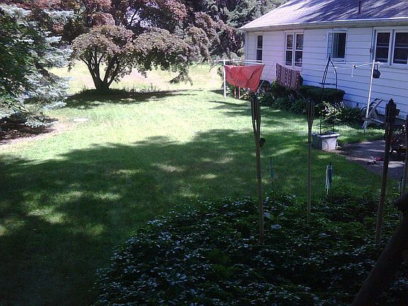 back yard