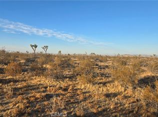 0 Avenue U4 & 257th St E LOT 13, Llano, CA 93544