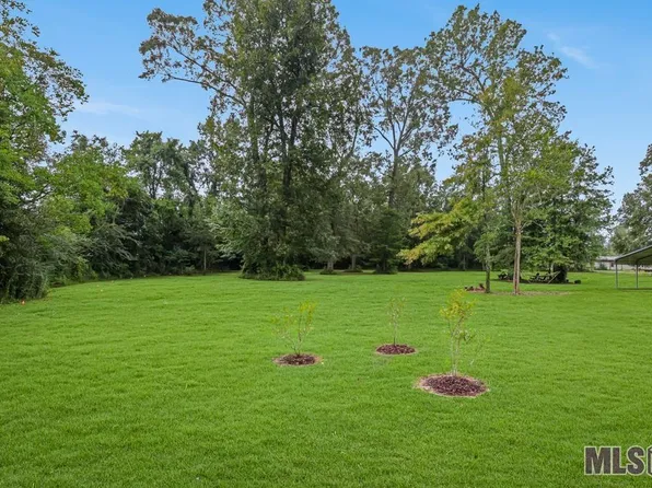 2C Bill Morgan Rd, Prairieville, LA 70769