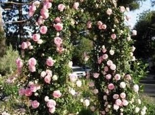 1501 Clearview Rd, Santa Barbara, CA 93101