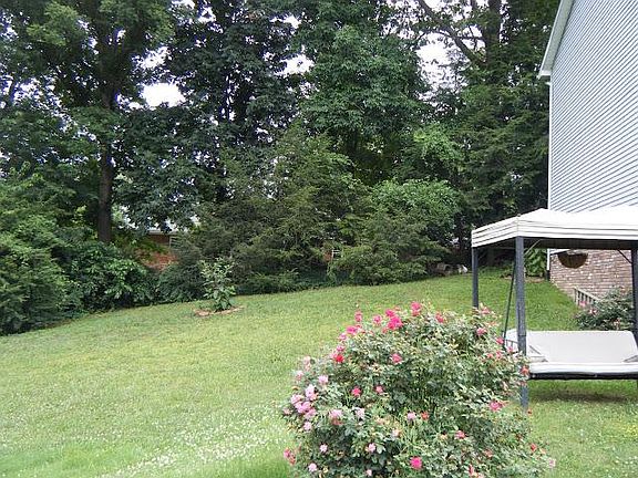 Left side yard