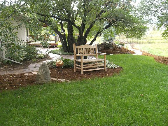 backyard lawn