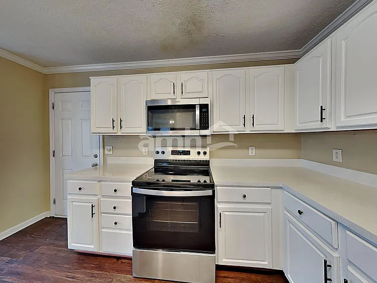 5224 Ridgefalls Way — Photo 3