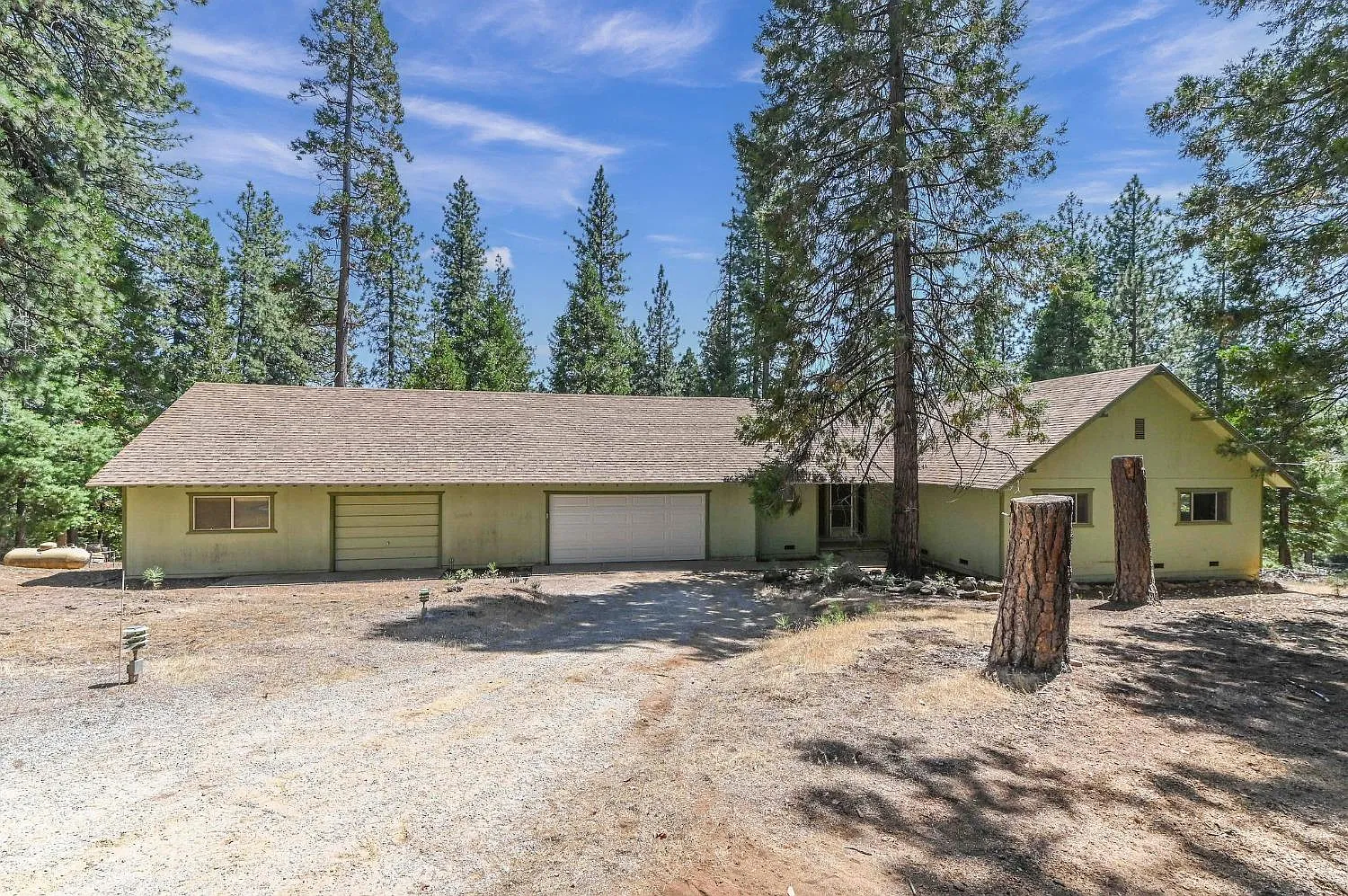 19104 Pine Dr E photo 1