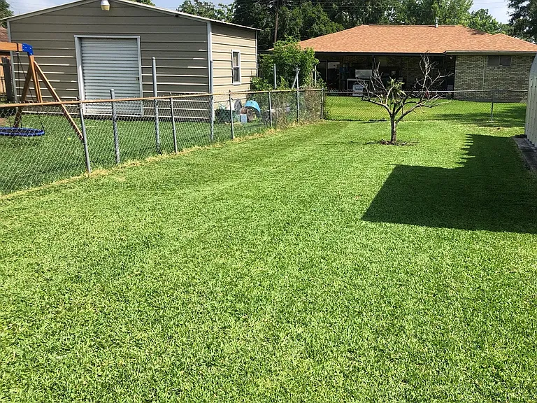 Back/Side Yard